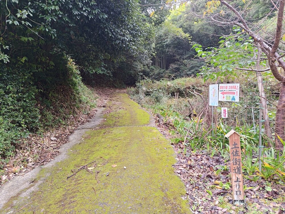 平等寺から貝谷峠へ向かう阿波7日目